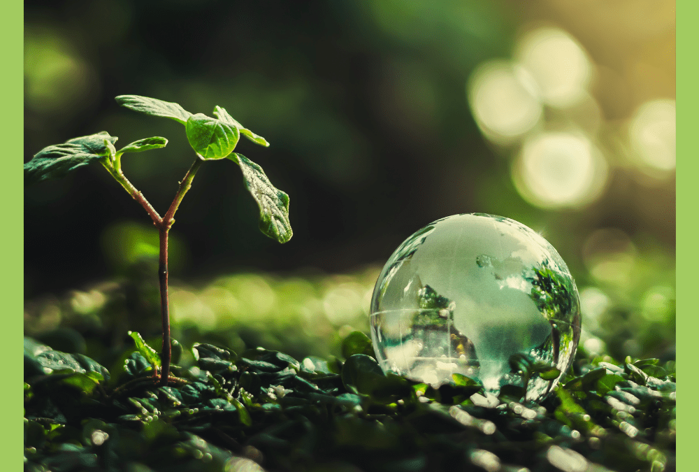 Futuro più green