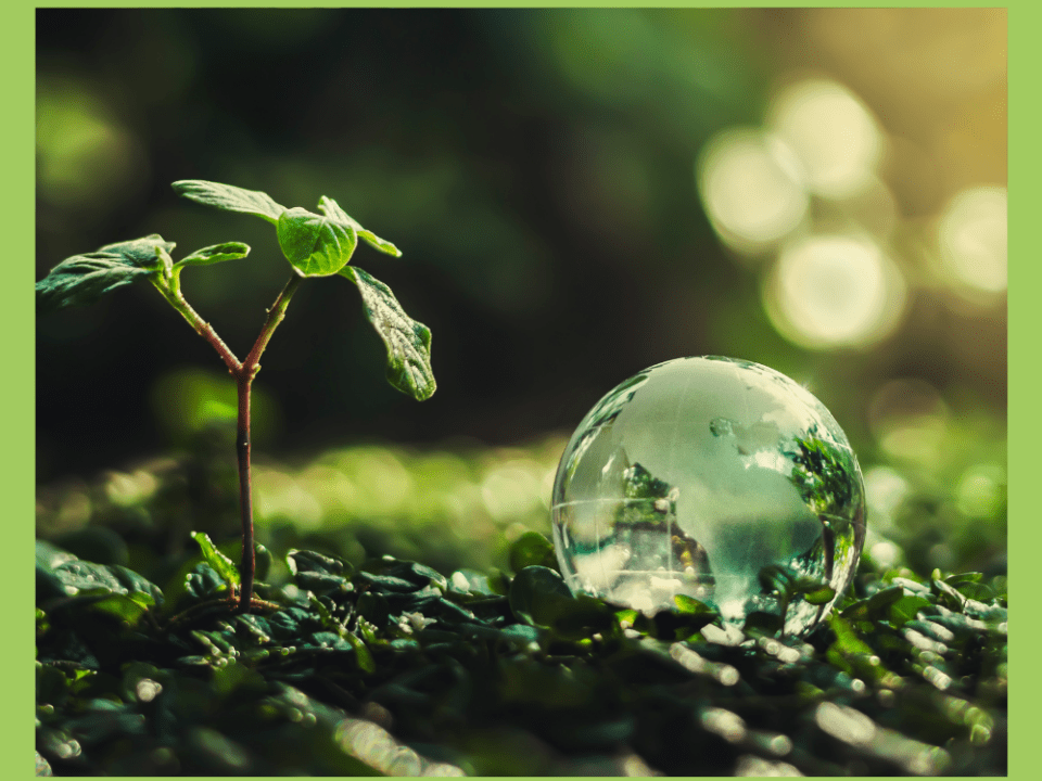 Futuro più green