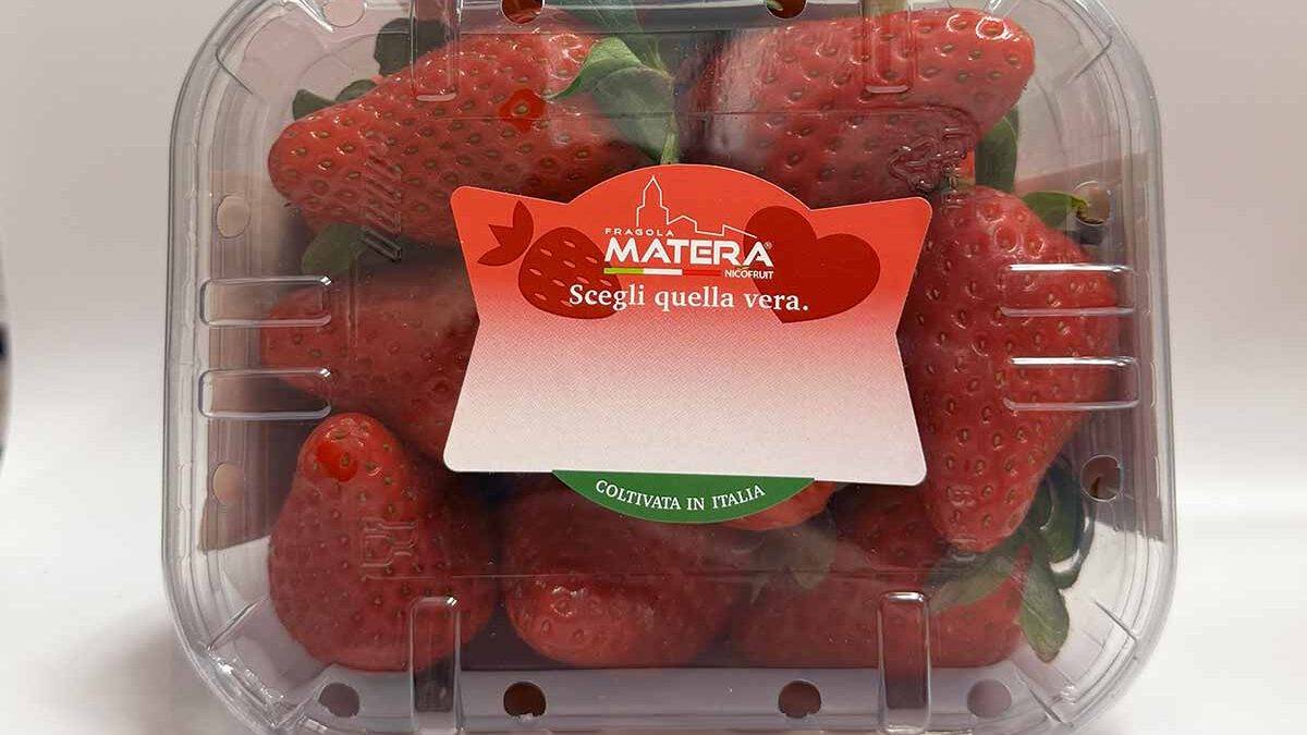 Fragola Inspire
