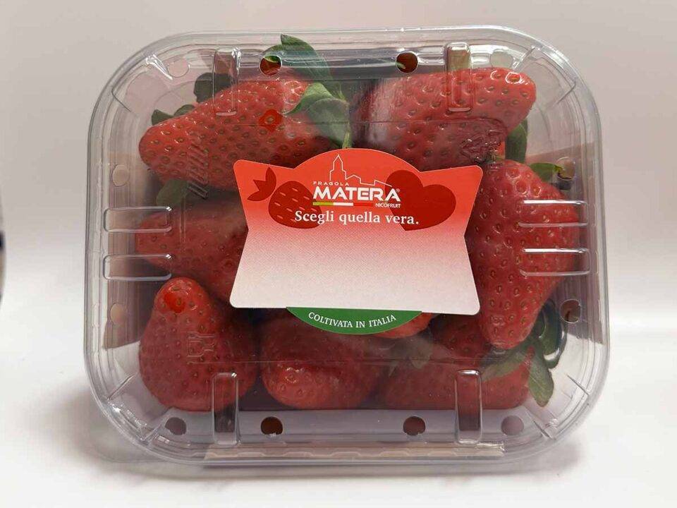 Fragola Inspire