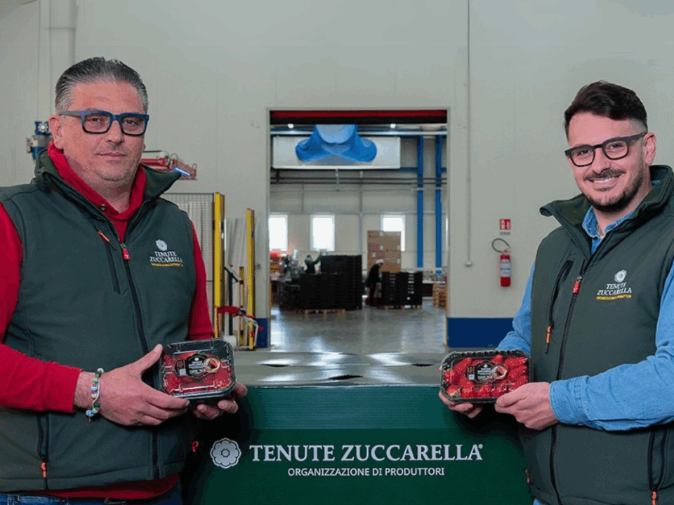 foto tenute zuccarella
