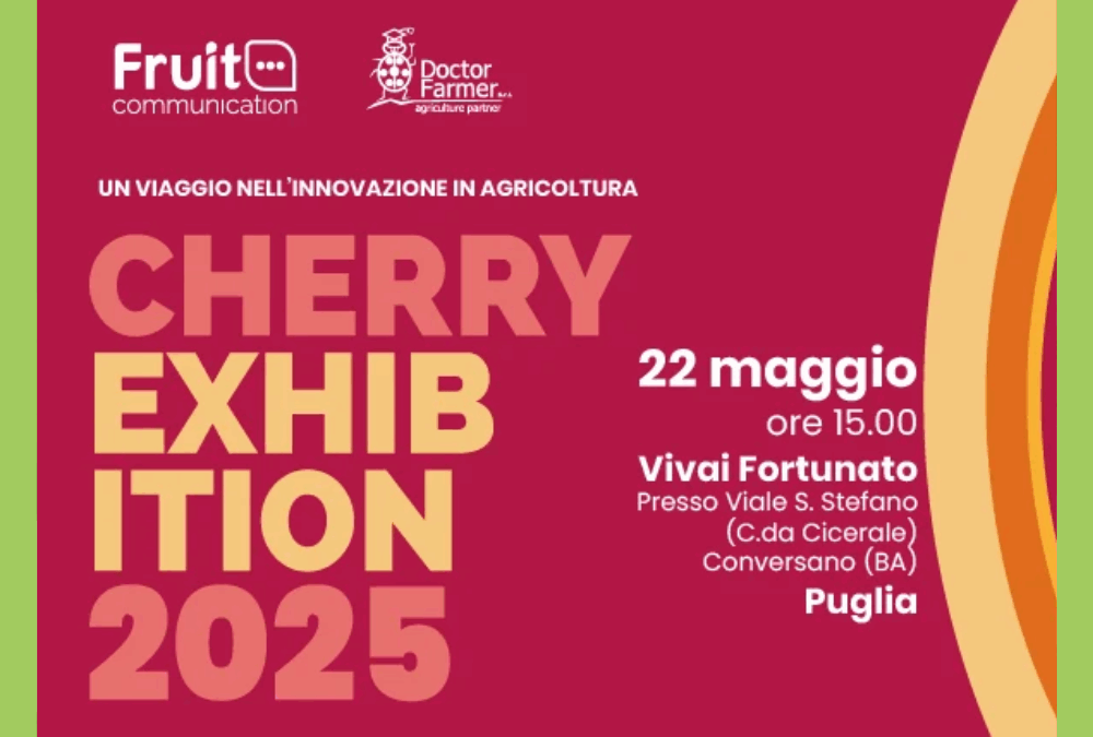 Cherry- Exhibition
