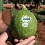 barattiere-ortofrutta