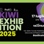 kiwi-exhibition