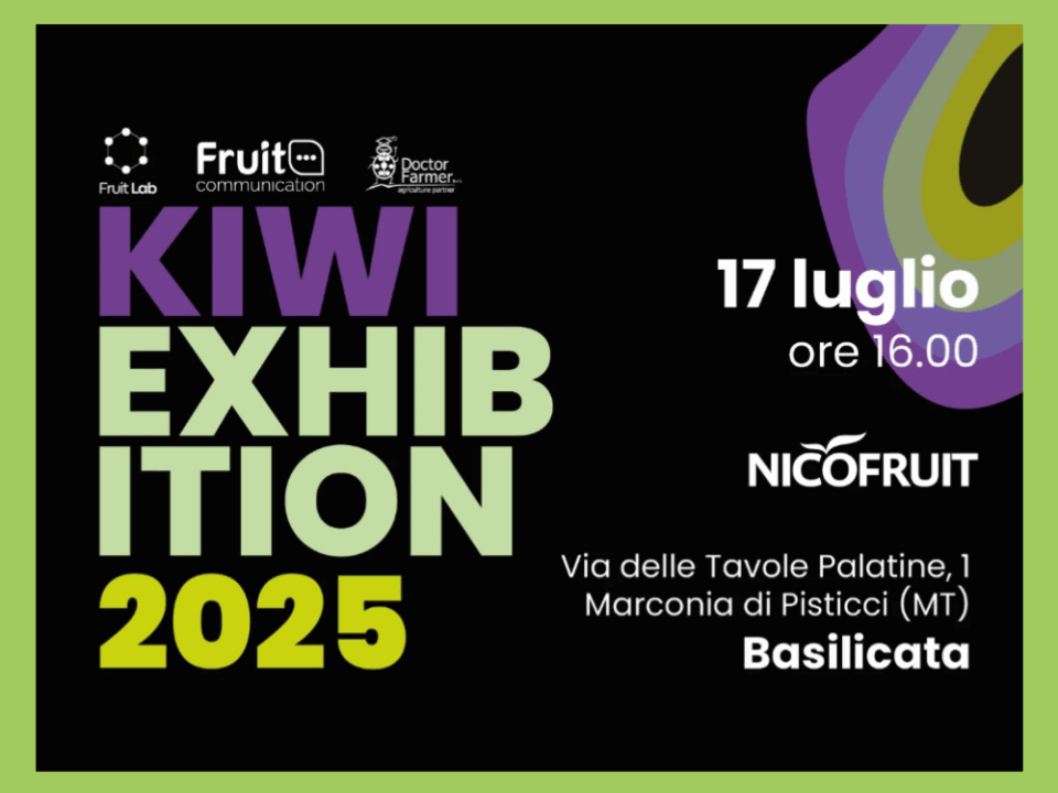 kiwi-exhibition