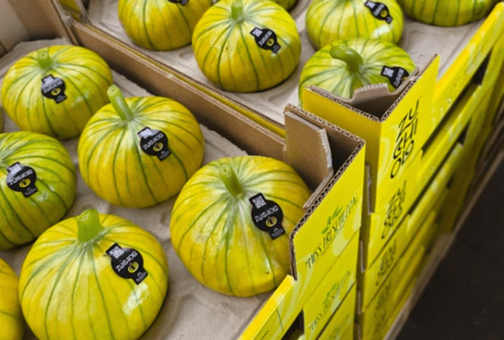 cassette con zucchioli, cucurbitacea simile a una zucca ma dal colore giallo e dalle striature verdi