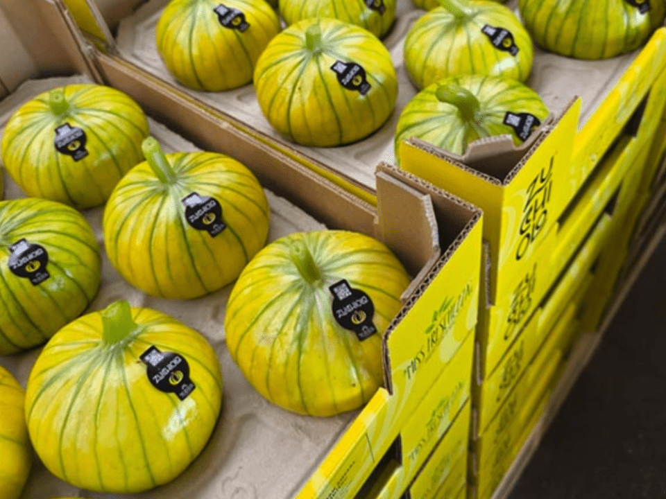 cassette con zucchioli, cucurbitacea simile a una zucca ma dal colore giallo e dalle striature verdi