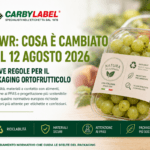 PPWR: cosa è cambiato dal 12 agosto 2026