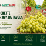 Etichetta a sigillo personalizzata applicata sul raspo di un grappolo di uva da tavola